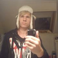 Meesterbrein