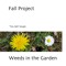 Fall Project 2010