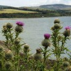 Barbara McCuin McGaughey