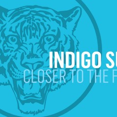 Indigo Sun