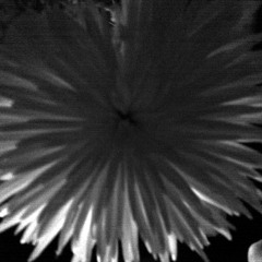 40 Years of Mariah Carey