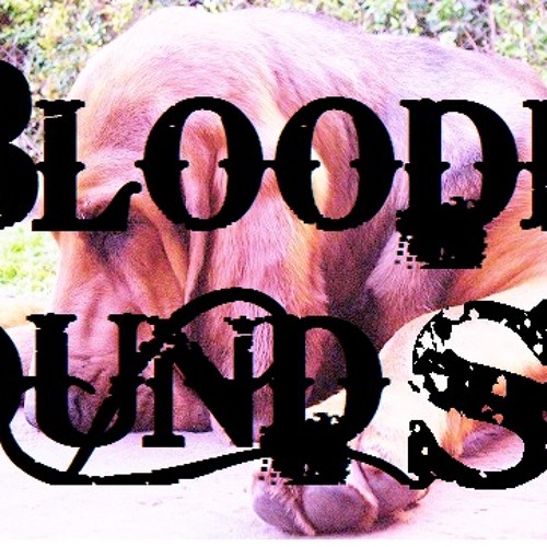 Bloodhounds’s avatar