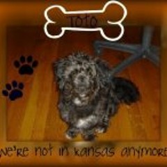 Connie McDowell Collum