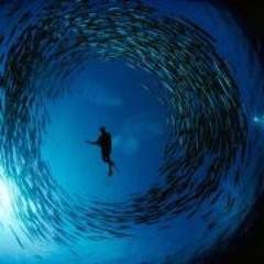 Meredith Wilke McCown