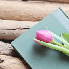 خمسٌ وعشرون من عمري مضت