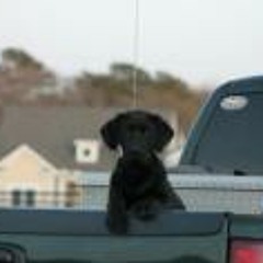 Brandon Strickland 2