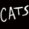 Cats the Musical