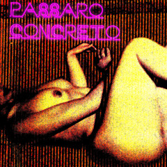 Pássaro-concreto