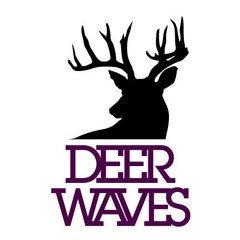 Deer Waves Records
