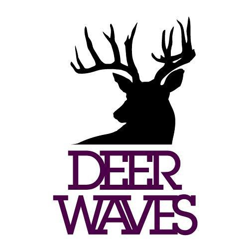 Deer Waves Records’s avatar