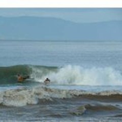 Raul Palomares Joya