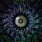 intelect mind