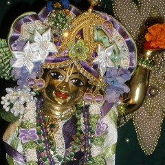 The Krishna House