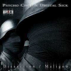 Digital Sick - No Sleep