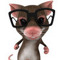 mouseboyrecords