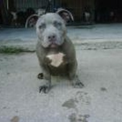 Mali Barshaun Wilkerson