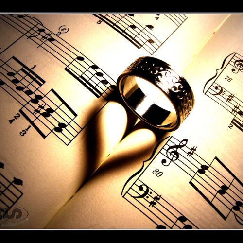 System Nipel - Dream Vision