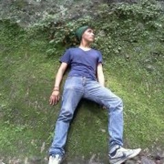Javier Hernandez Lopez