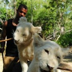 Rohan Andre Stephenson