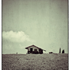 quaaludes________________