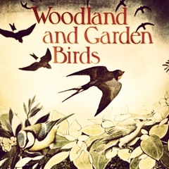 Woodland&GardenBirds