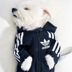 Father's Day In The NBA