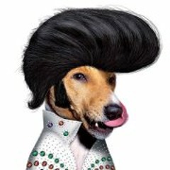 Hvalenciaa Tedd Room