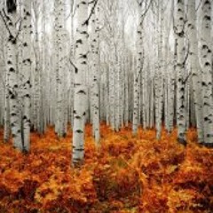 Christelle Chevalley