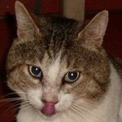 John Alexander Nieto