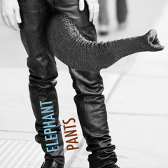 Elephant Pants