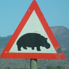 vargonicon