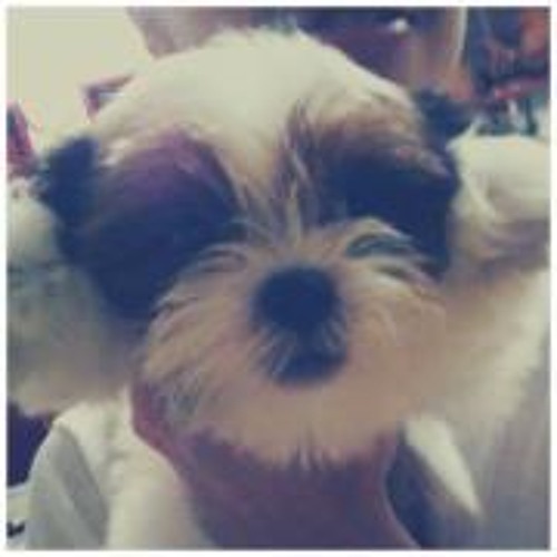 06 - Sara Bareilles - Gravity (Live Acoustic)