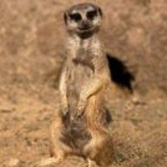 user8424420