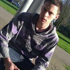 Sander van Sundert