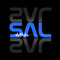 salenkovic