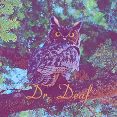 Dr. Deaf