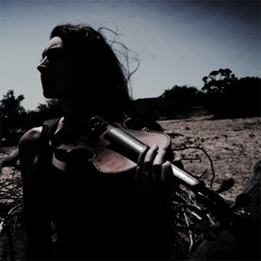 Electronic Disharmony