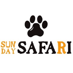 Sunday Safari