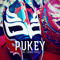 Pukey - THE SVVAG IVER