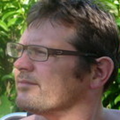 Vincent van den Haak