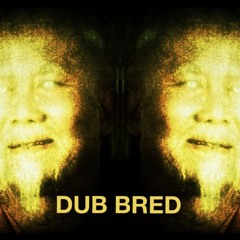 dub bred