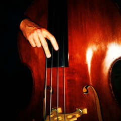 Steve Watson Bass Tracks