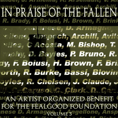 In Praise of the Fallen