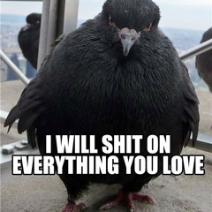 Pigeon Beast