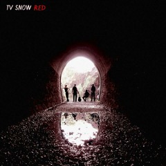 TV Snow