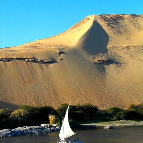 دنيا آشري - خضر