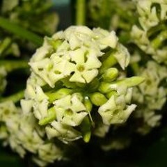 Tìm Lại Bầu Trời 1