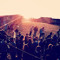 Sunset®
