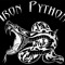 IRON PYTHON