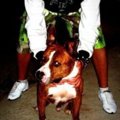 Aleksandar Mišljenović